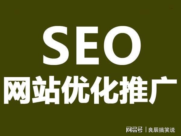 网站 排名_网站流量排名突然下降_网站排名