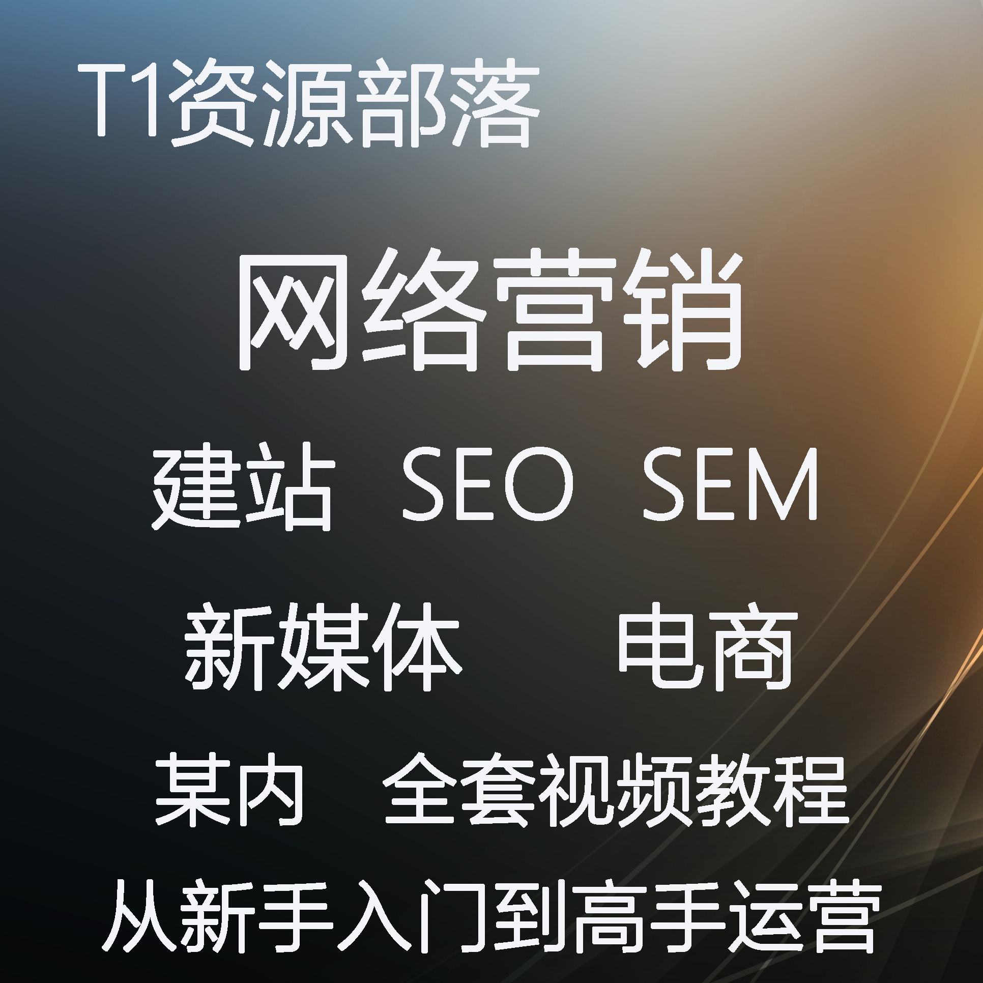 SEO推广企业开展网络营销，面临以上问题**好的解决方式se