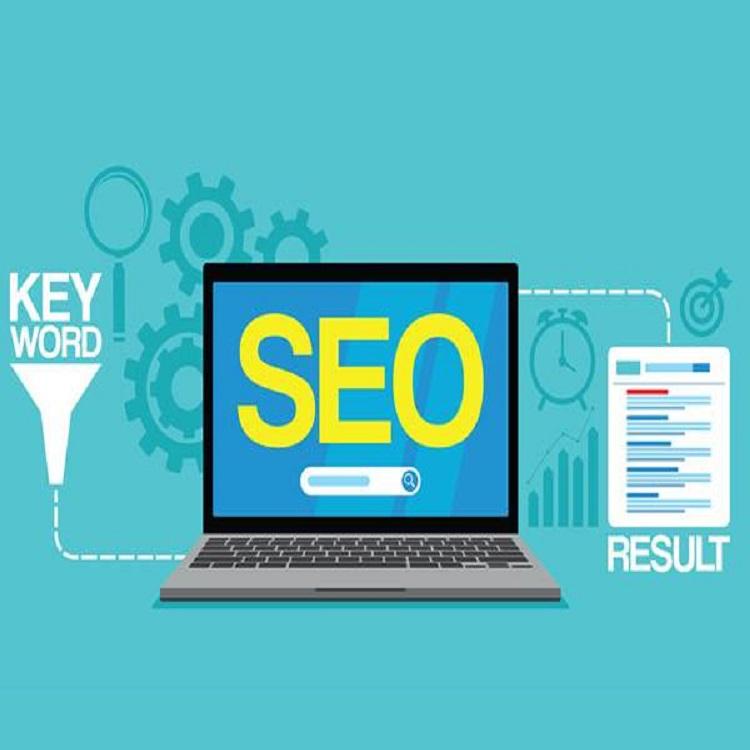 SEO零基础入门到精通：搜索引擎SEO优化怎么做首页排名