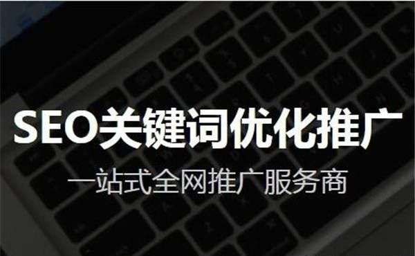 seo优化技术大型网站SEO的成功与突破