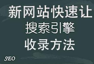 搜索引擎优化2022新站该如何让搜索引擎快速收录呢？听听优化
